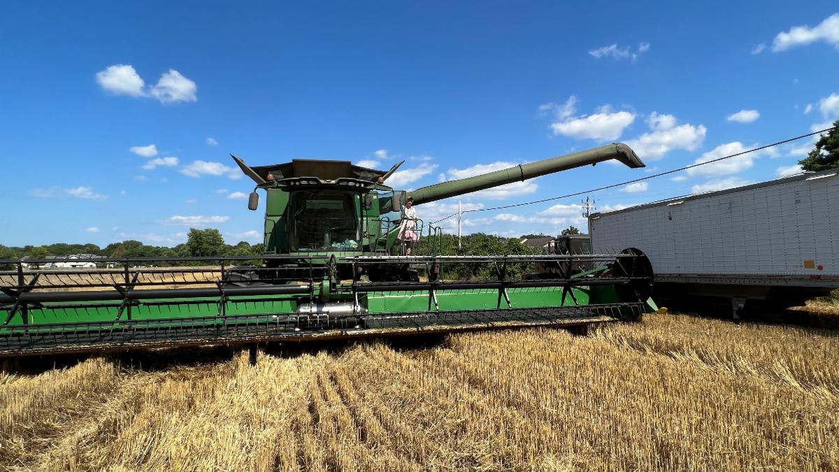 Farm 1
