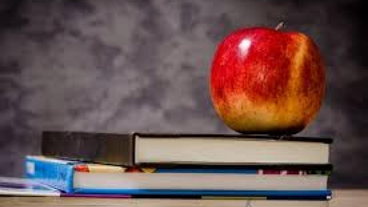 Teachers